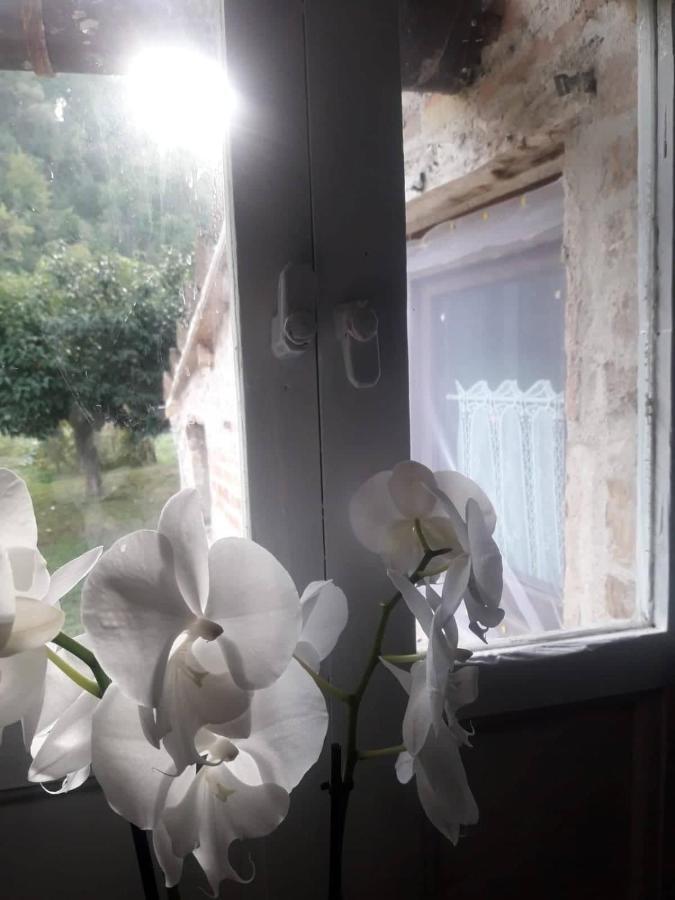 Il Giardino Dei Sogni Bed & Breakfast Montefortino Exterior photo